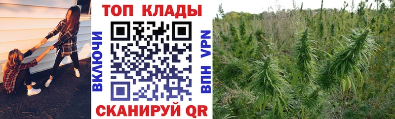 Купить закладку Альфа ПВП  Каннабис  Cocaine  Амфетамин  ГАШ  МЕФ  Фокино