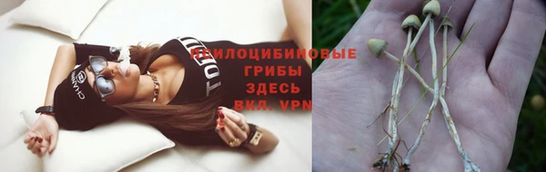 дмт Елизово