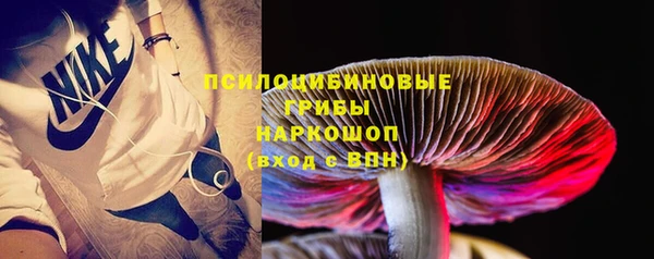каннабис Ельня