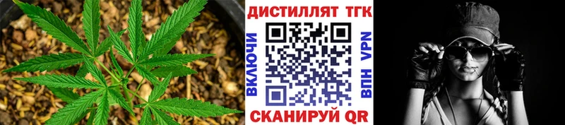 Купить  Фокино  ТГК гашишное масло 