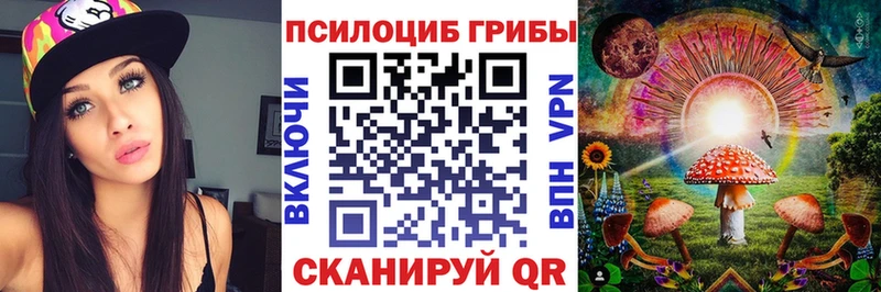 Галлюциногенные грибы прущие грибы Купить закладки Фокино